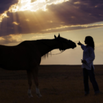 equestrian blogger with horse