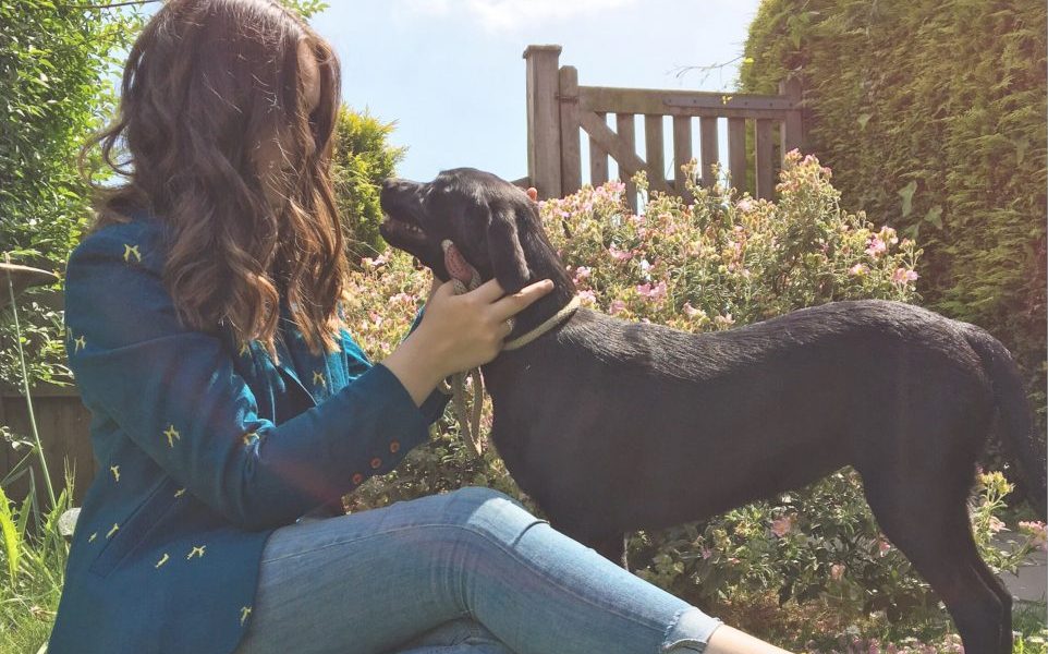 60 Seconds With…. Hollie-Ella, It’s A Country Life Blogger