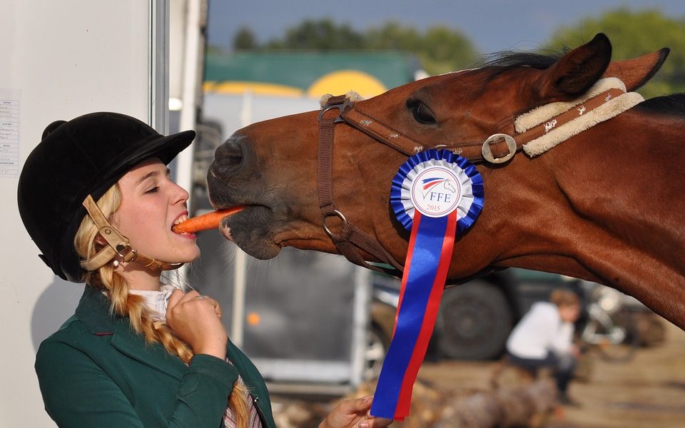 9 Things Only Horse Owners Will Understand