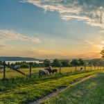 A Complete Guide To Enjoying The Countryside