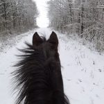 Top-Tips-For-Looking-After-Your-Horse-This-Winter
