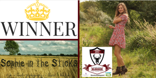 Country Style Blogger Of The Year Announced