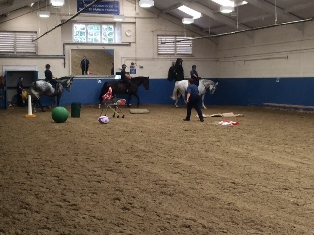 MMPR Visit Police Horse Training Centre