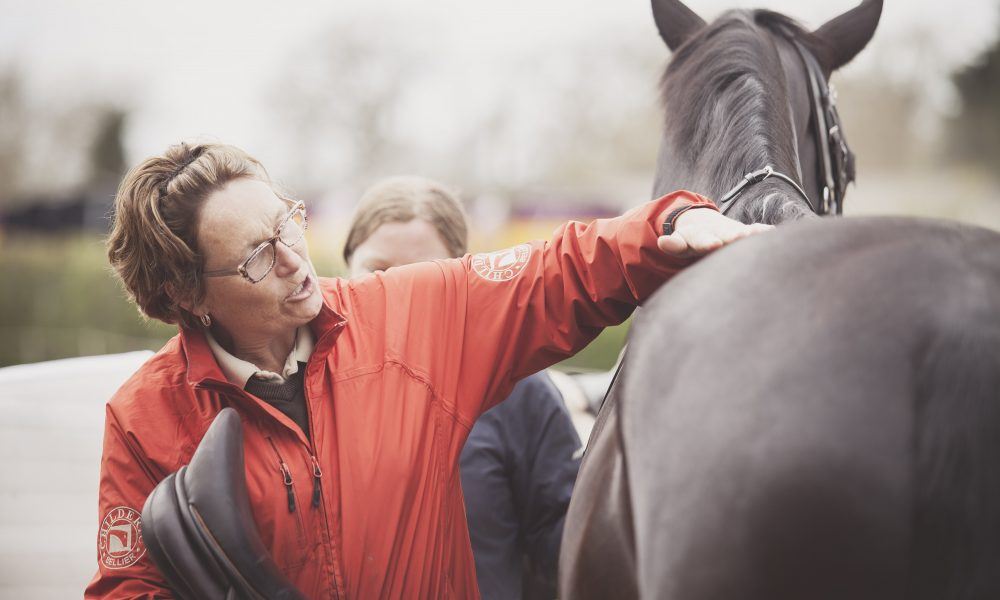 Tracia Bracegirdle strokes a horse, a Childéric saddle technician, who speaks to our equine team.