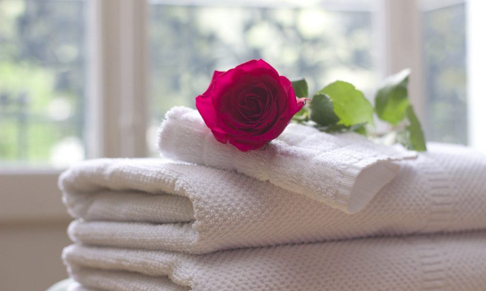 A red rose placed atop a stack of white towels by a sunny window