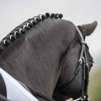 Equetech Crystal Bands