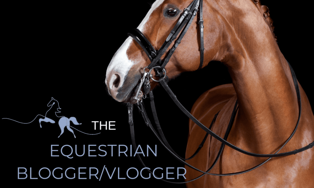 Beautiful Chestnut Horse Equestrian Blogger Of The Year Awards