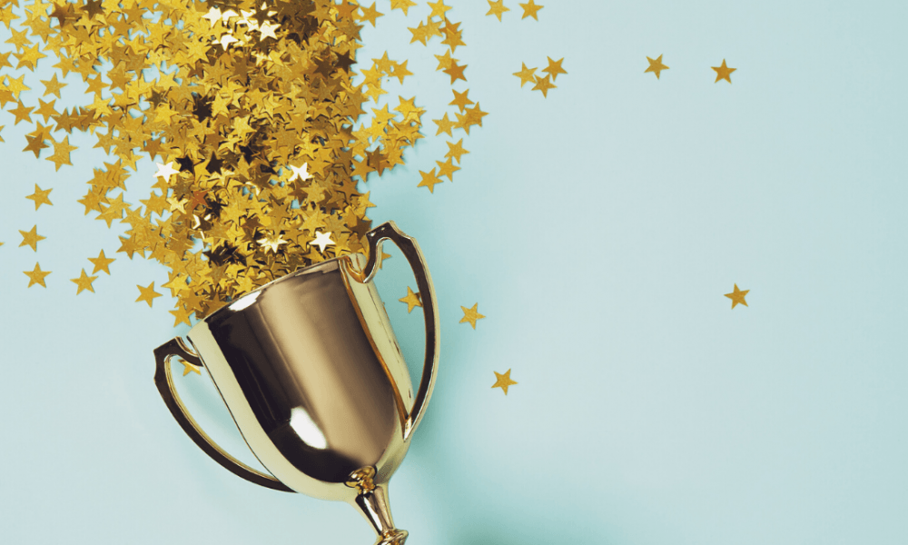 Trophy Bursting With Stars For The Equestrian Blogger/Vlogger Of The Year Awards