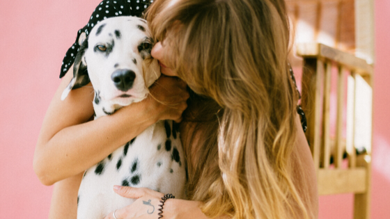 Why Owning A Dog Is Good For Your Health