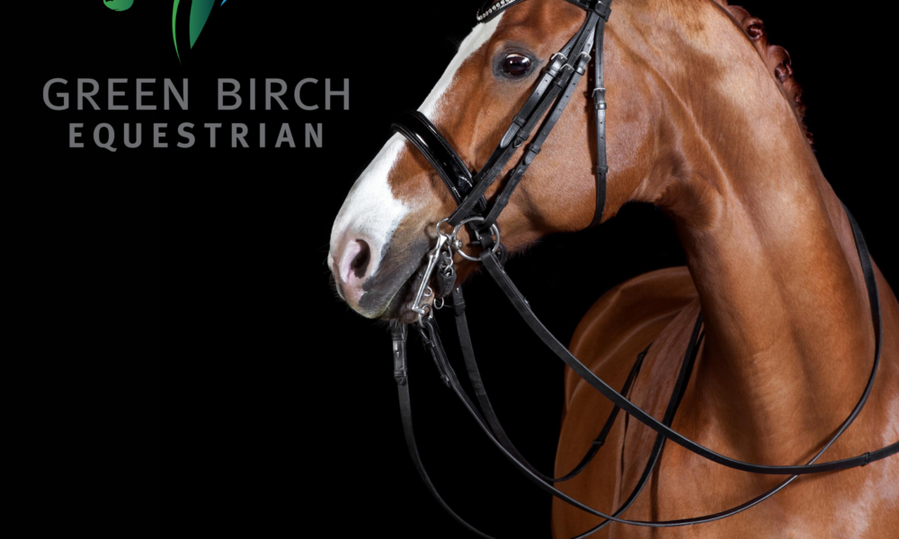 Green Birch Equestrian appoint Equine Marketing Team MirrorMePR