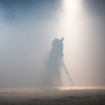A horse gallops into the spotlight in the equestrian blogger awards 2020