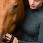 Equestrian Grooming